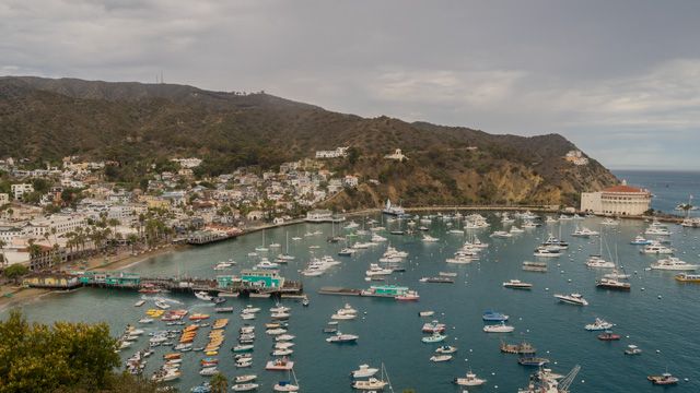 Santa Catalina Island during daytime