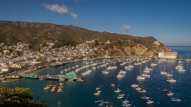 Santa Catalina Island during daytime
