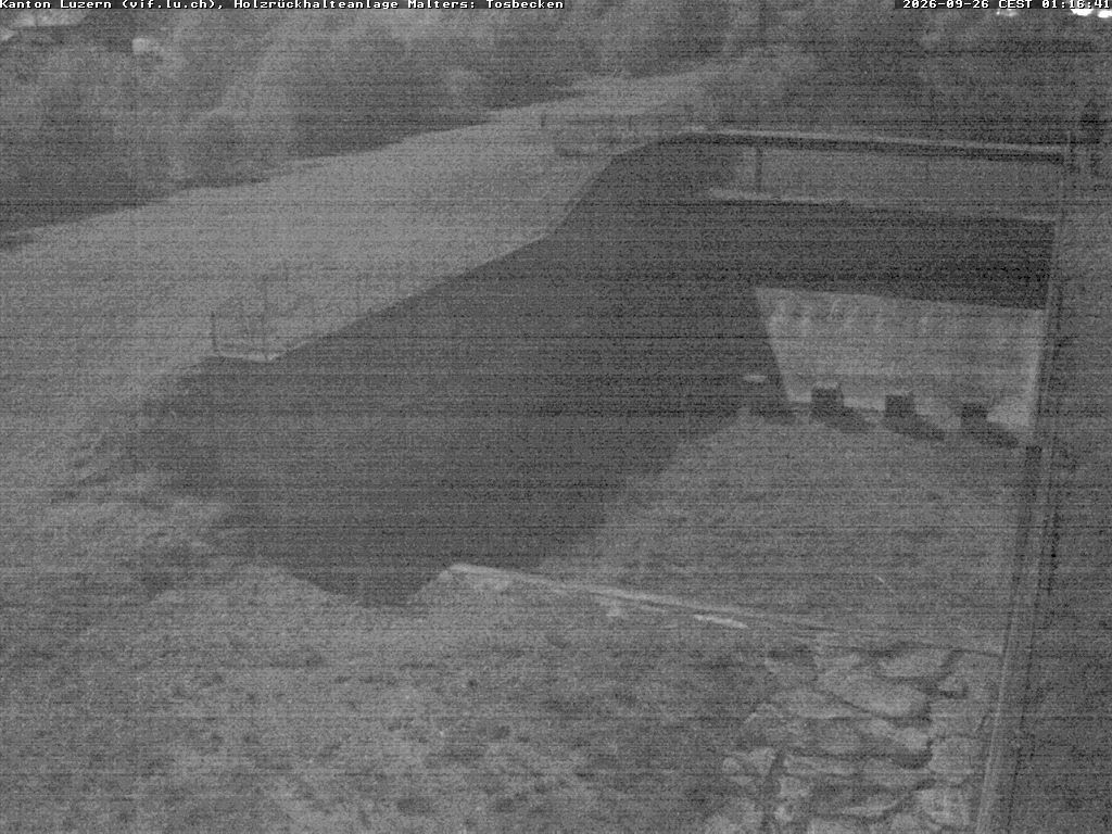 Malters: Tosbecken Holzrückhalt
