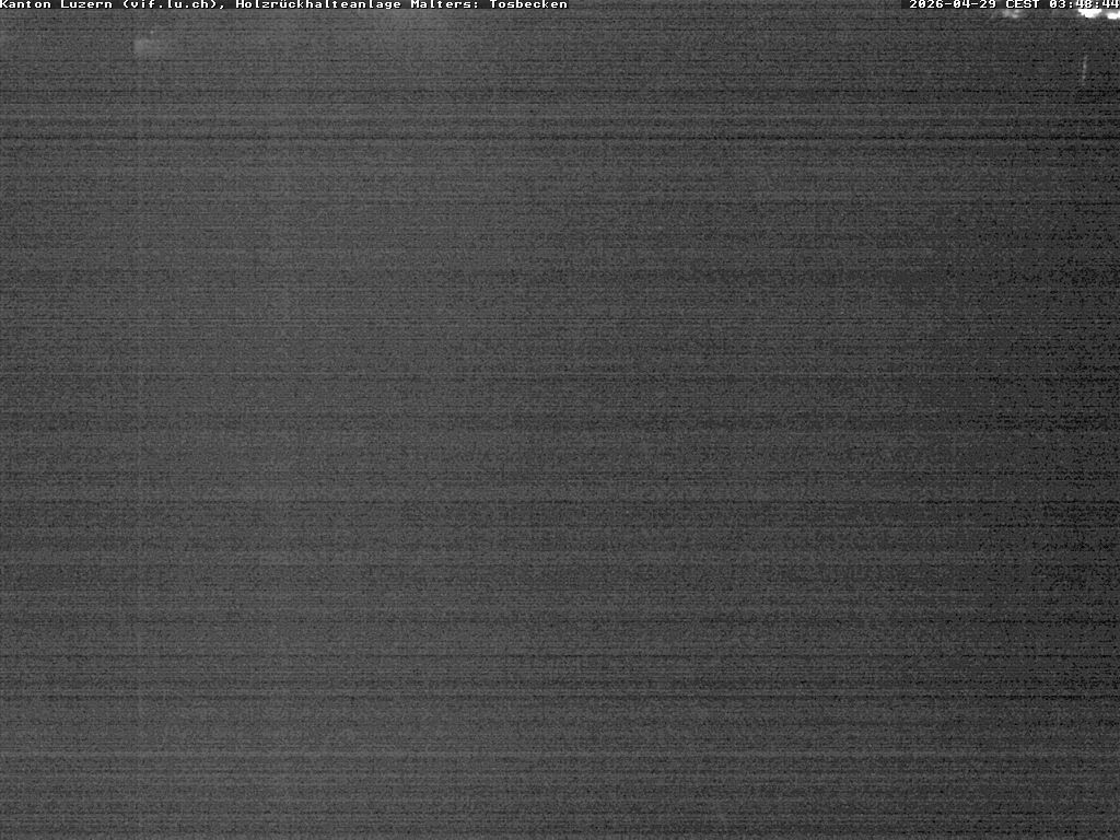 Malters: Tosbecken Holzrückhalt