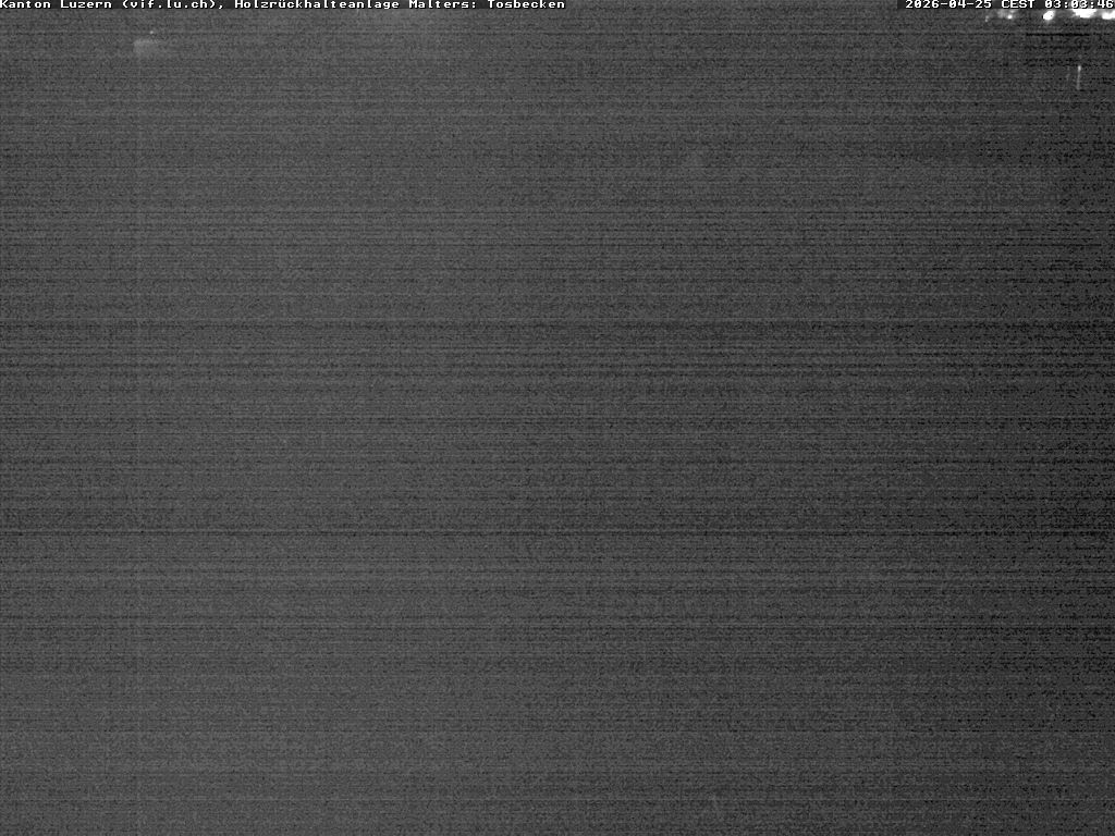 Malters: Tosbecken Holzrückhalt