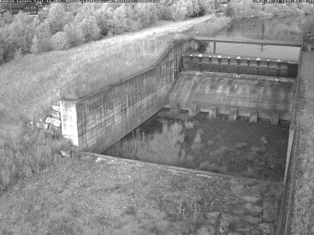 Malters: Tosbecken Holzrückhalt