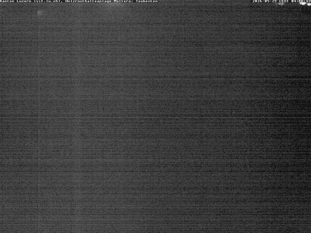 Malters: Tosbecken Holzrückhalt