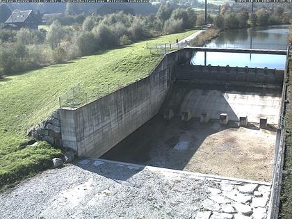 Malters: Tosbecken Holzrückhalt