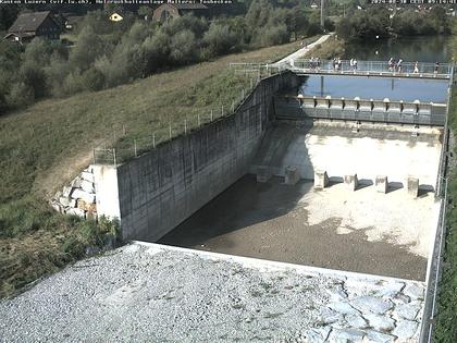 Malters: Tosbecken Holzrückhalt