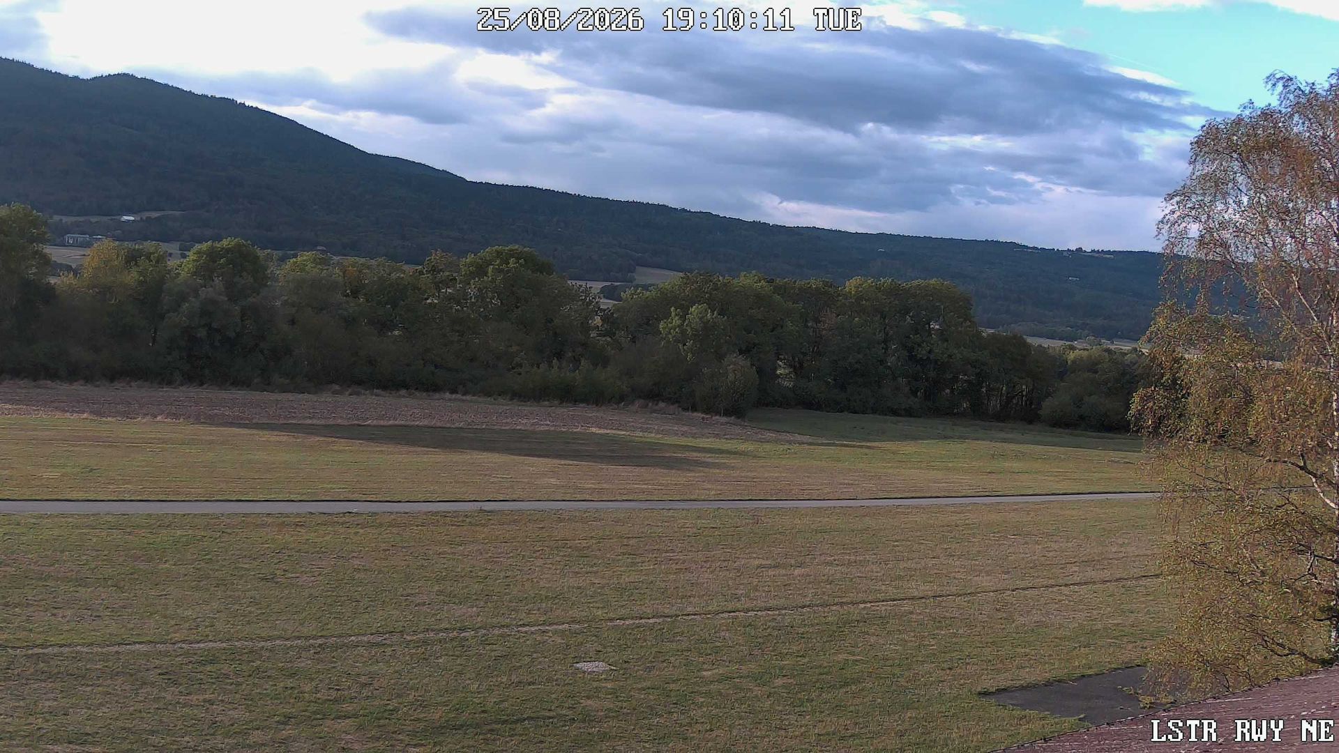 Traffic Cam Montricher › North-East: Col Du Mollendruz