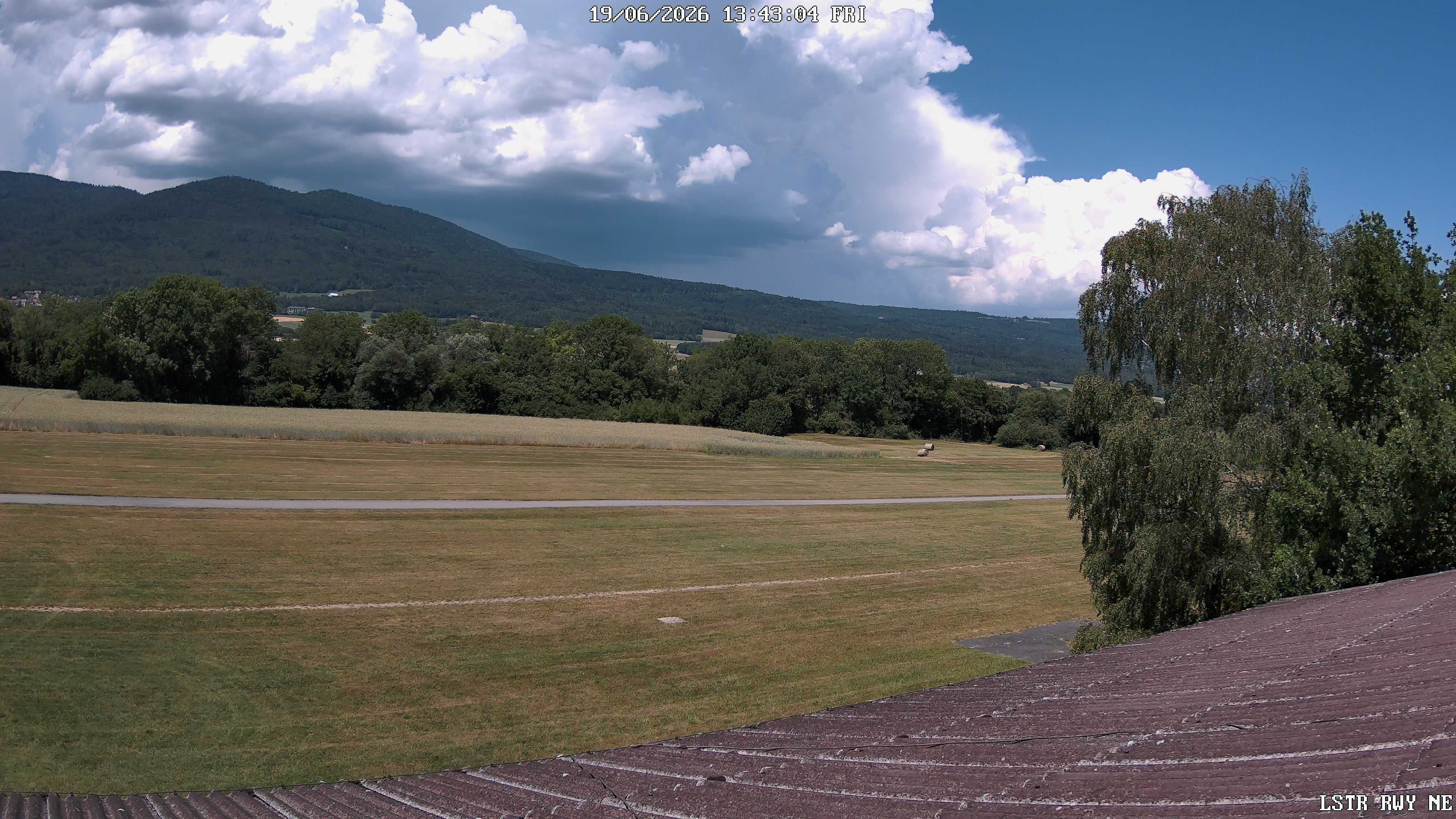Montricher › Nordosten: Col Du Mollendruz