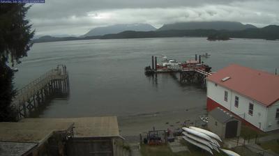 Webcam en vivo Tofino - ahora mismo