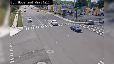 Traffic Cam Rochester: Mt Hope Ave at Westfall Rd -