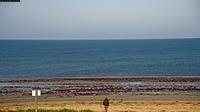 Barbatre: Noirmoutier