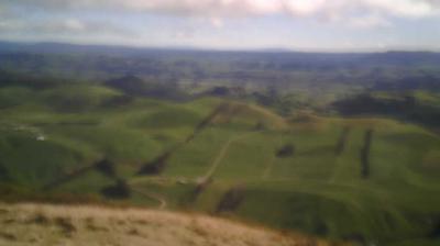 Bay of Plenty today