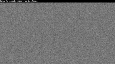 Bahnhof Leiferde weather webcam