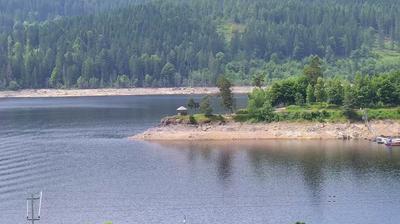 Schluchsee forest webcam