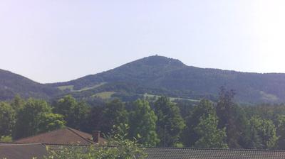Grossschonau forest webcam