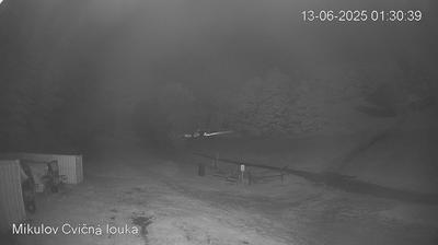 Unterwurschnitz forest webcam