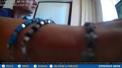 Lagonegro forest webcam