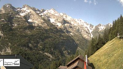 Mountain View: Brüsti
