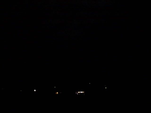 Hamberg forest Webcam