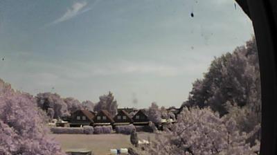 Bahlen forest webcam
