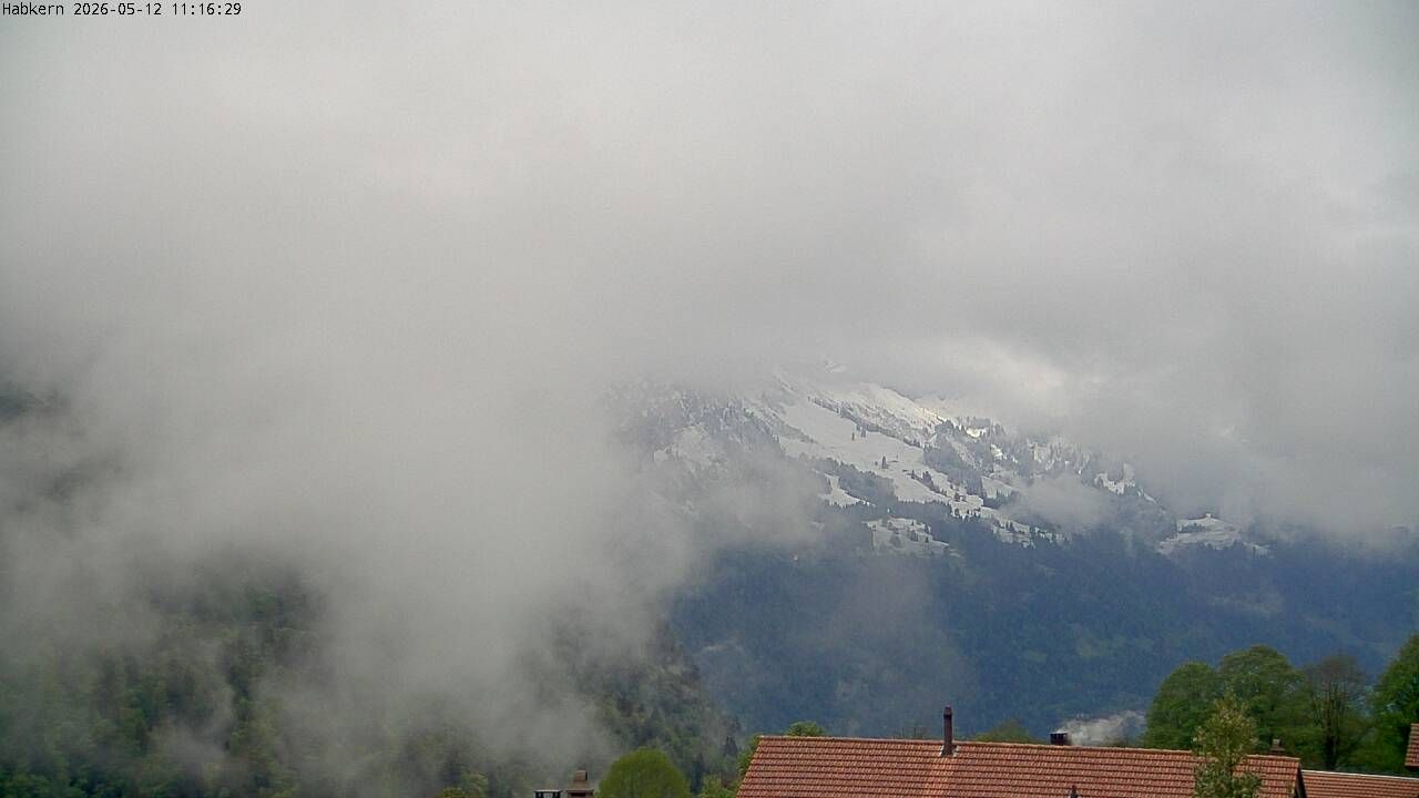 Habkern › Süden: Harder Kulm - Thunersee