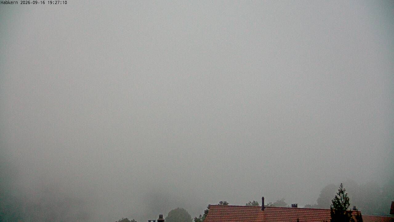 Habkern › Süden: Harder Kulm - Thunersee