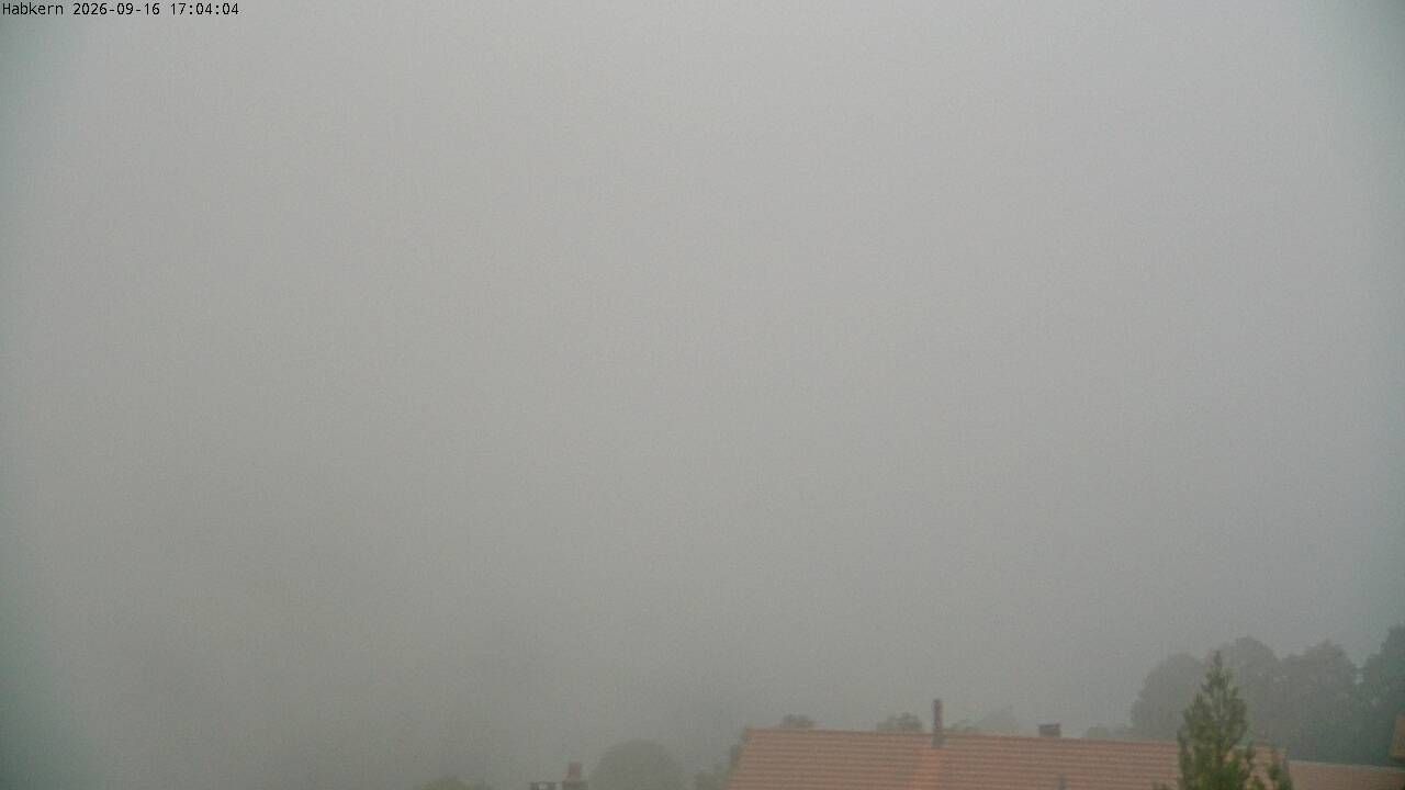 Habkern › Süden: Harder Kulm - Thunersee