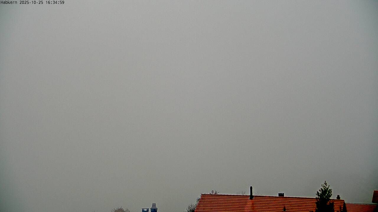 Habkern › Süd: Harder Kulm - Thunersee