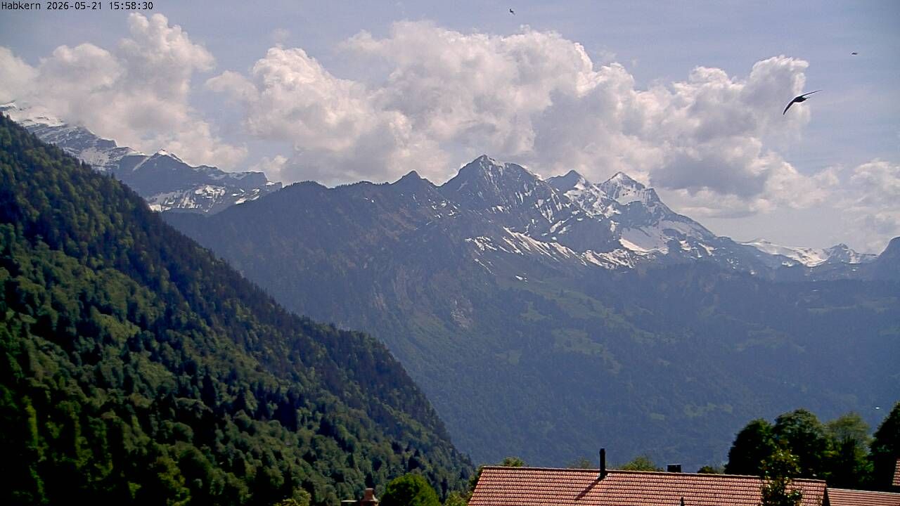 Habkern › Süden: Harder Kulm - Thunersee