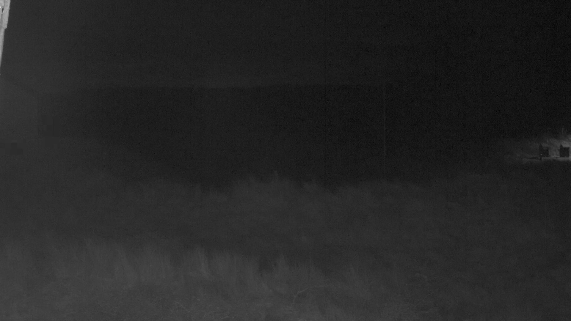 Traffic Cam Terschelling › South-West