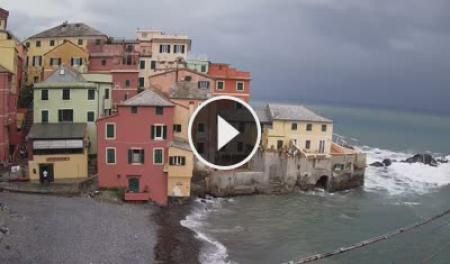 Traffic Cam Genoa