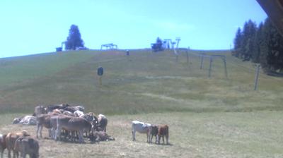 Bihls Wetter-Webcam