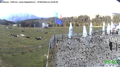 immagine della webcam nei dintorni di Tonezza del Cimone: webcam Val Formica