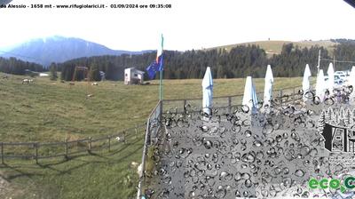 immagine della webcam nei dintorni di Pergine Valsugana: webcam Val Formica