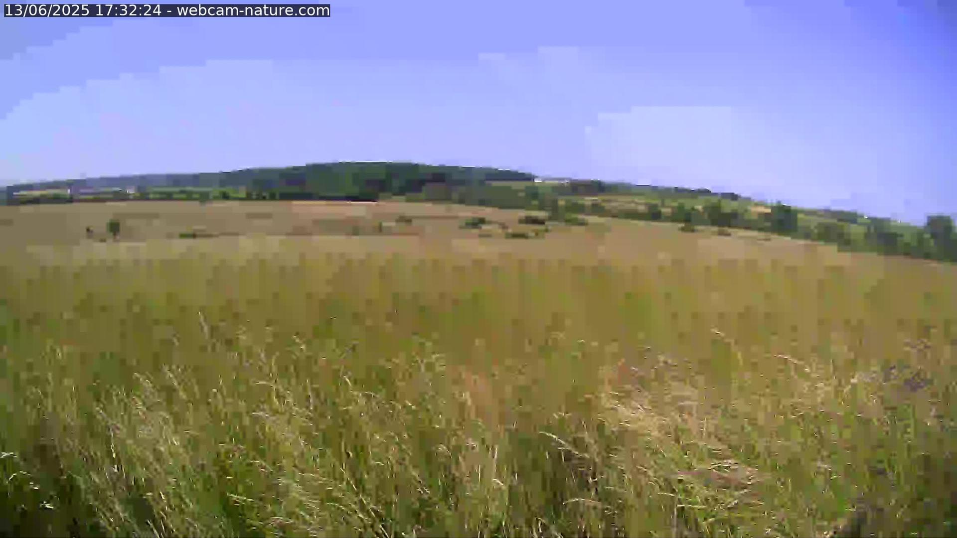 Roeser landscape Webcam
