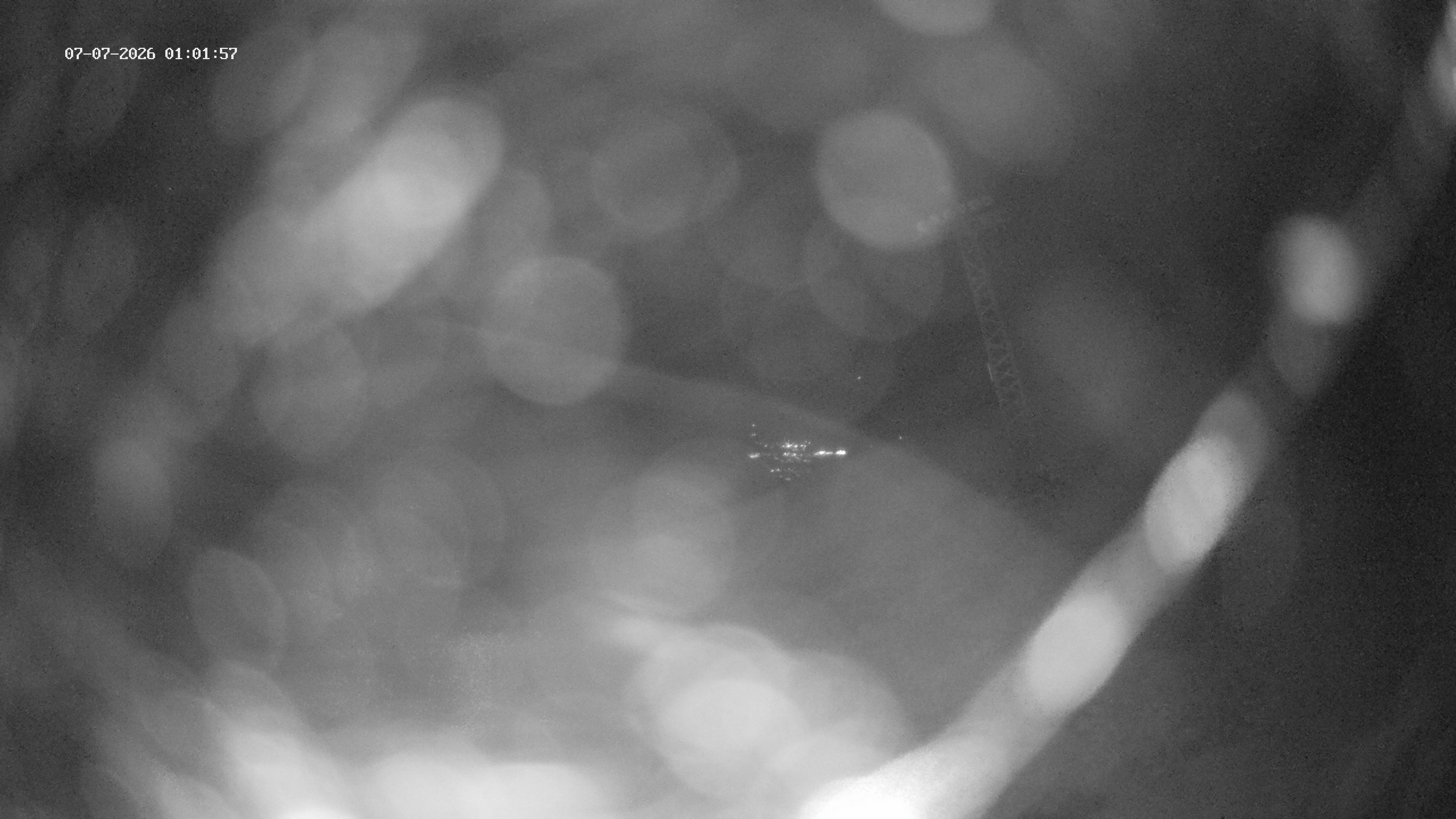 Spiringen › Westen