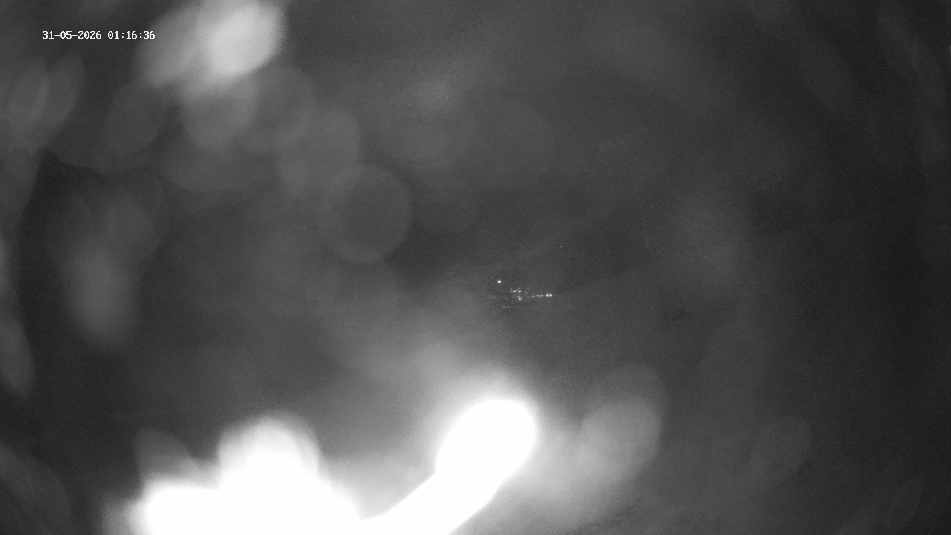 Spiringen › Westen