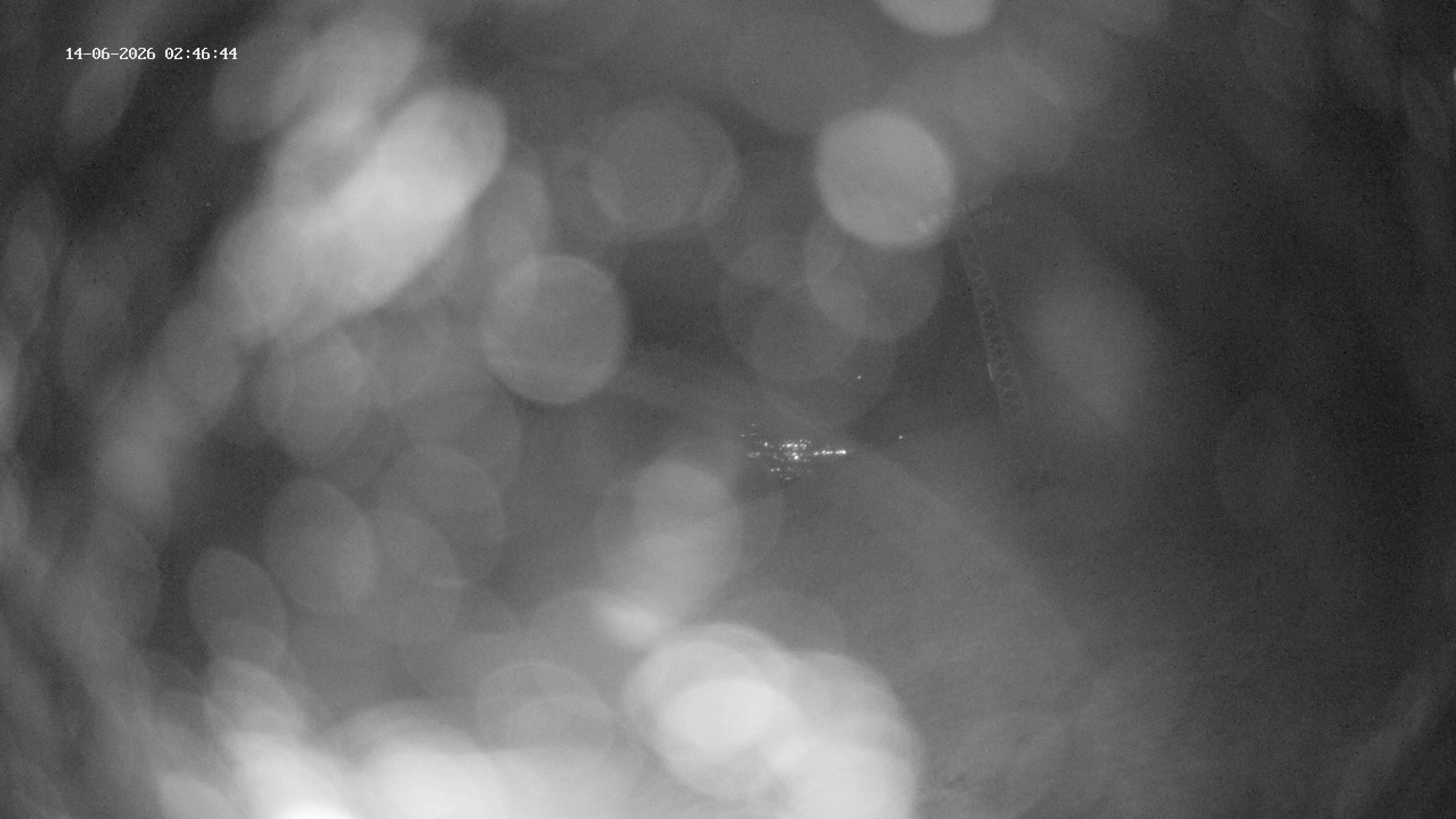 Spiringen › Westen
