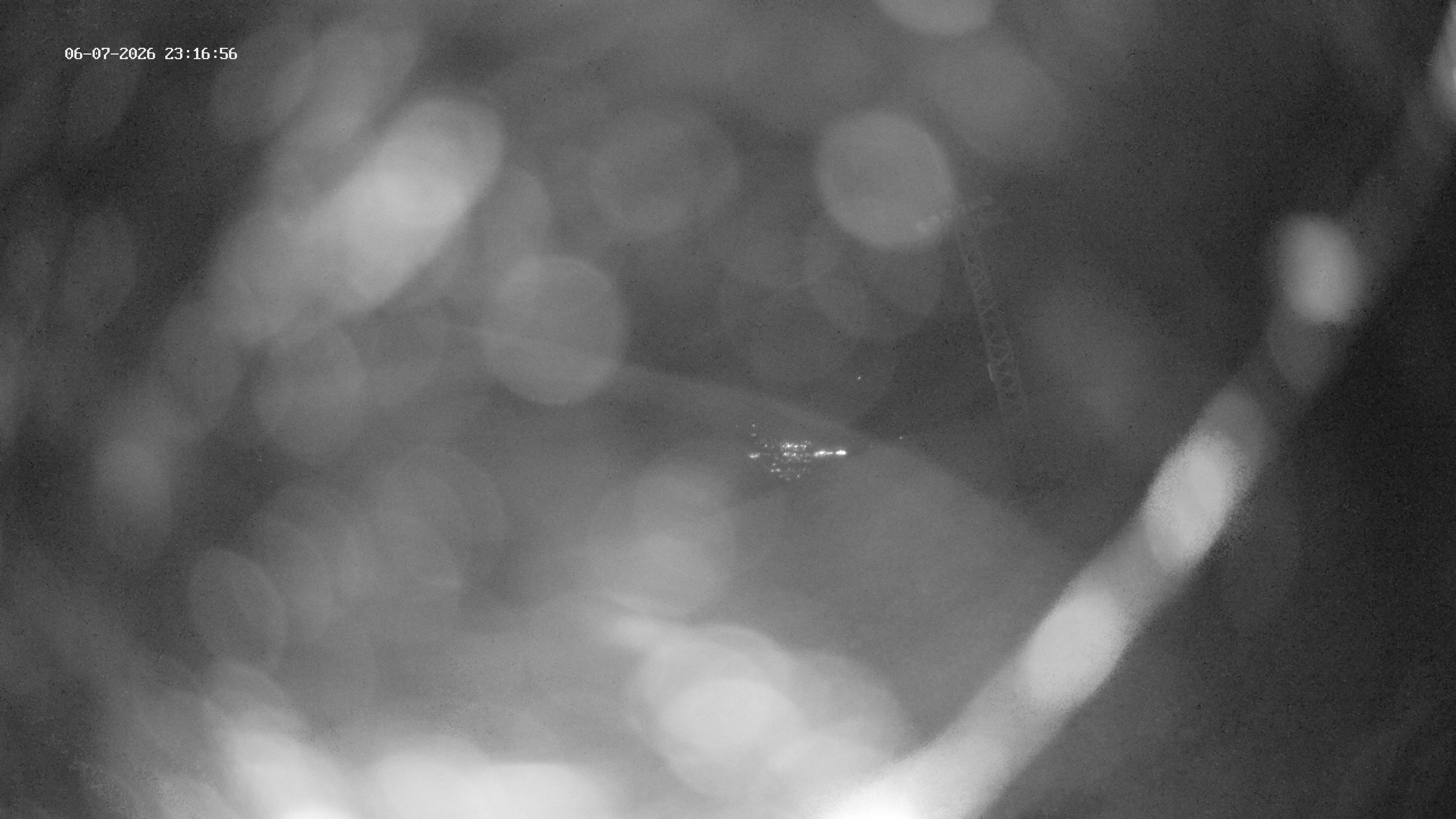 Spiringen › Westen