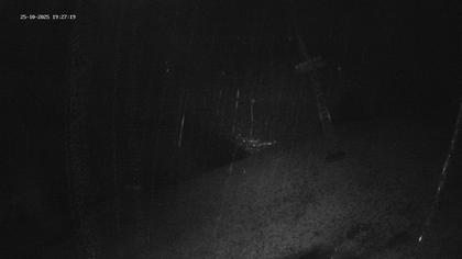 Spiringen › West