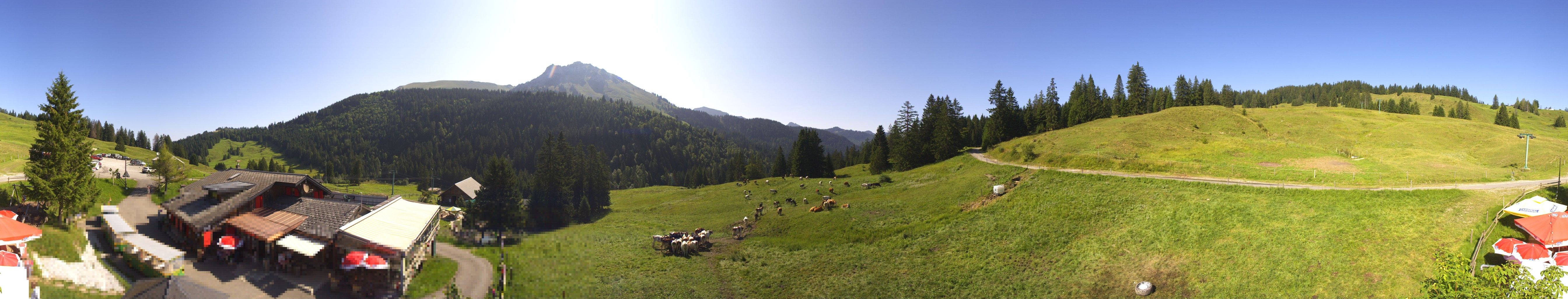 Châtel-Saint-Denis: Teysachaux - Dent de Lys