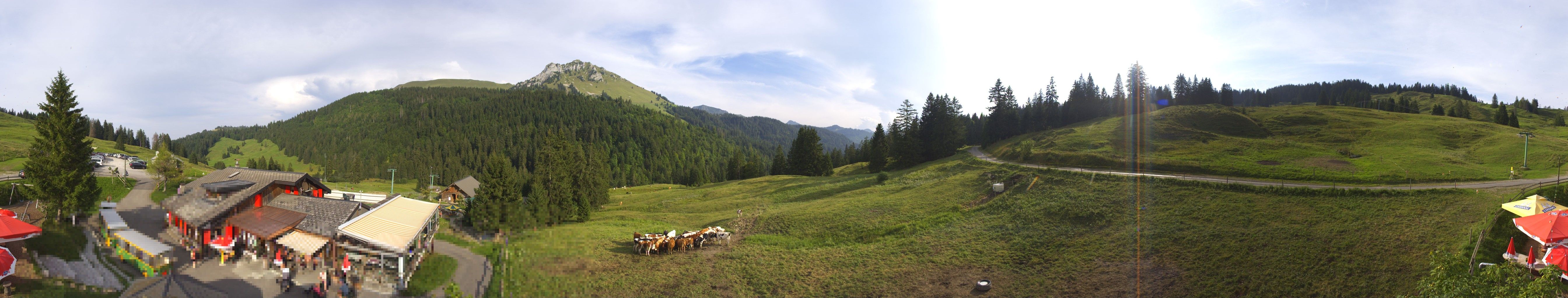 Châtel-Saint-Denis: Teysachaux - Dent de Lys