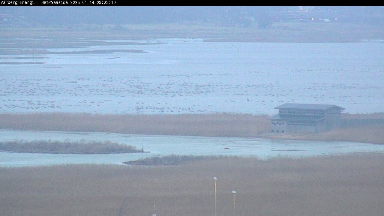 Varberg: Getterön Nature Reserve - Varberg Fortress