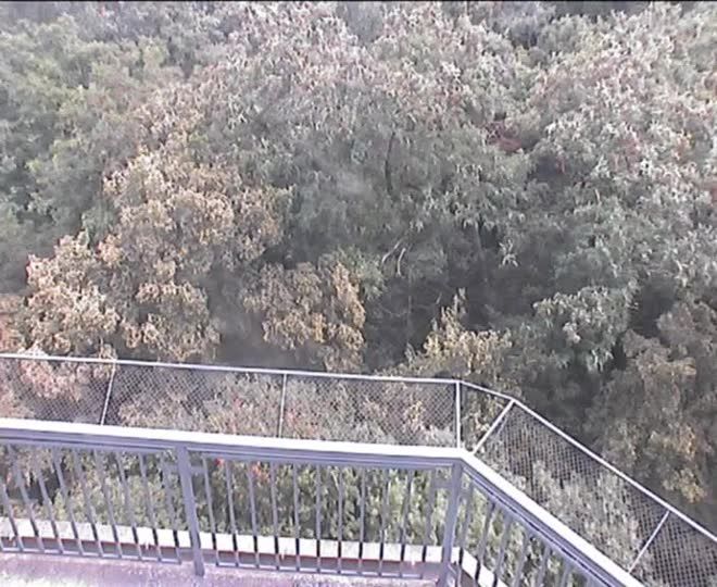Traffic Cam Szreniawa