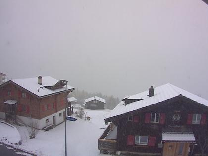 Bellwald › Westen: Bellwald Tourismus - Richinen