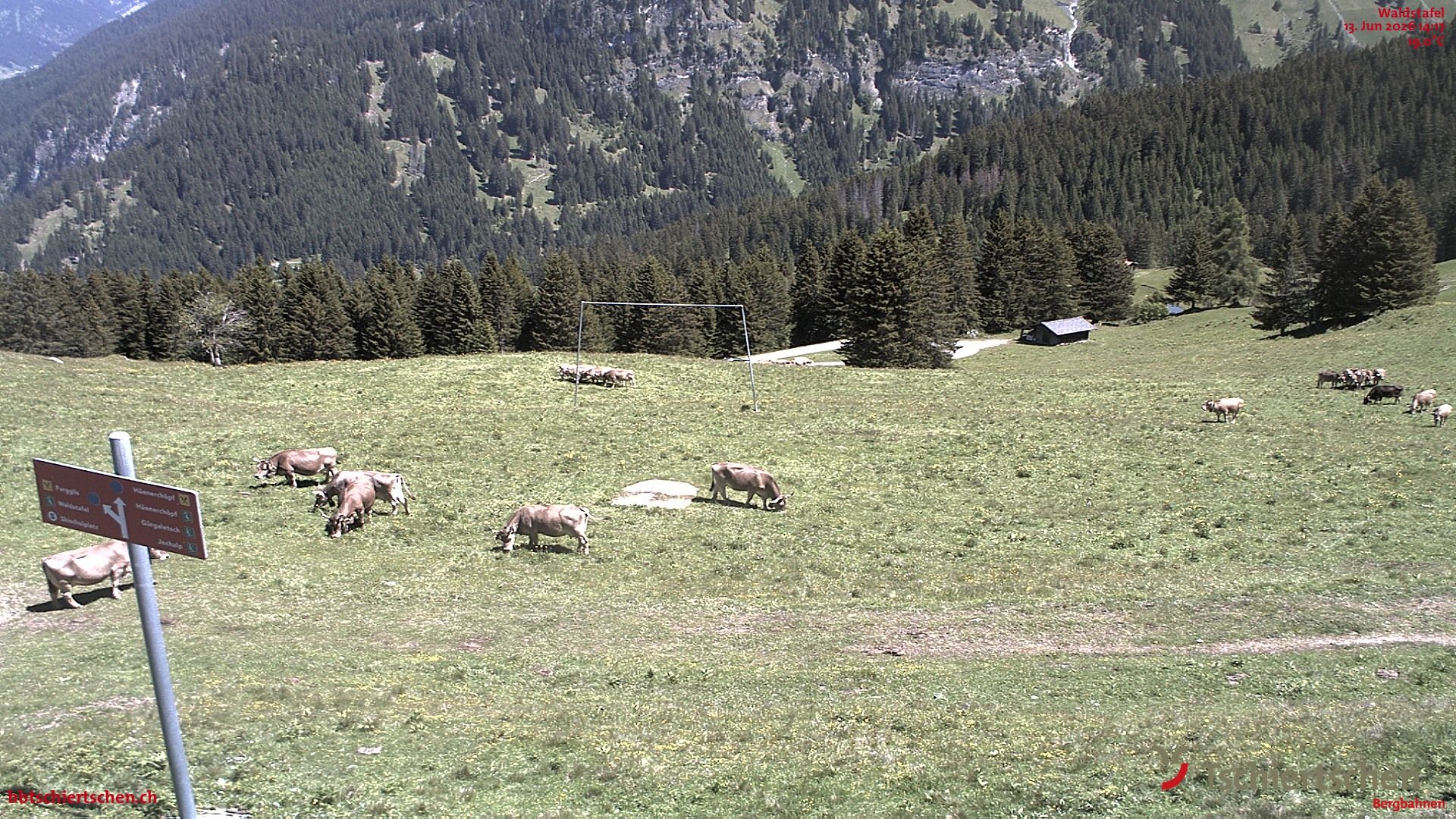 Tschiertschen-Praden: Spinatzman Blick Richtung Aroser Weisshorn: Spinatzman Blick Richtung Aroser Weisshorn