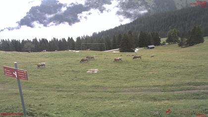 Tschiertschen-Praden: Spinatzman Blick Richtung Aroser Weisshorn: Spinatzman Blick Richtung Aroser Weisshorn