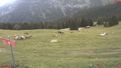 Tschiertschen-Praden: Spinatzman Blick Richtung Aroser Weisshorn: Spinatzman Blick Richtung Aroser Weisshorn