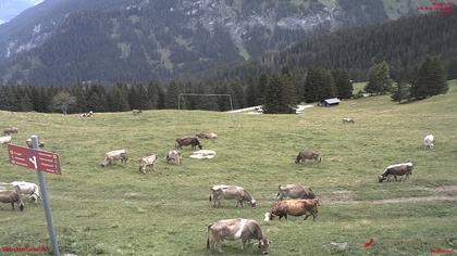 Tschiertschen-Praden: Spinatzman Blick Richtung Aroser Weisshorn: Spinatzman Blick Richtung Aroser Weisshorn