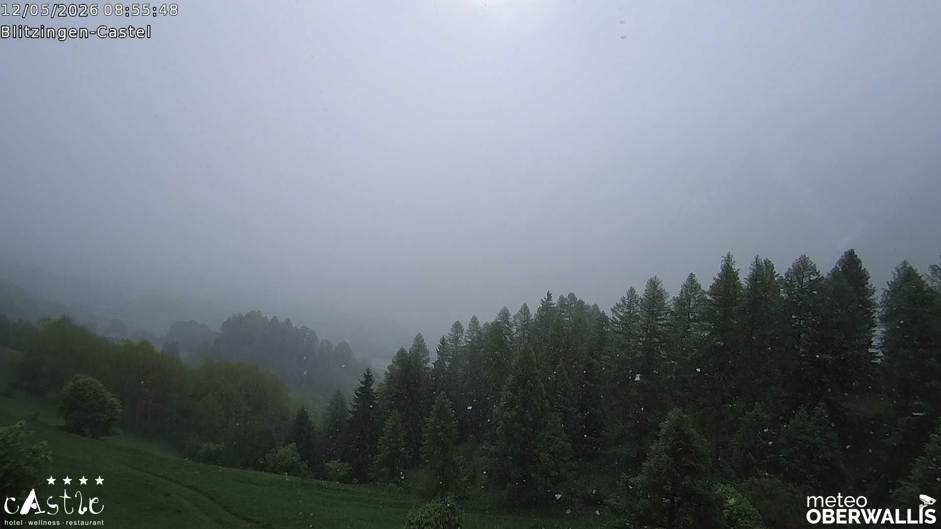 Blitzingen: Wallis, Schweiz