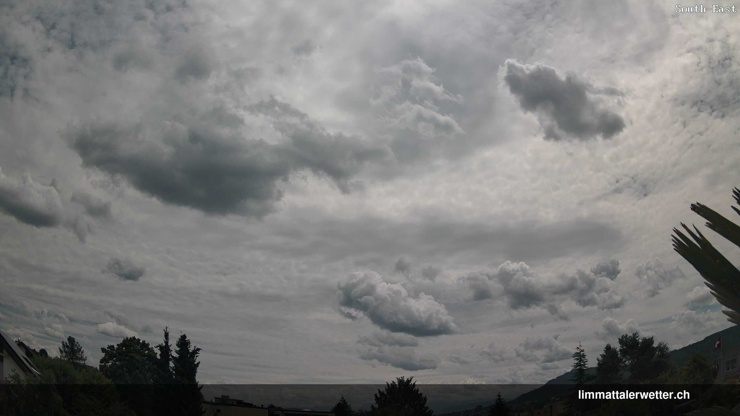 Unterengstringen › Westen